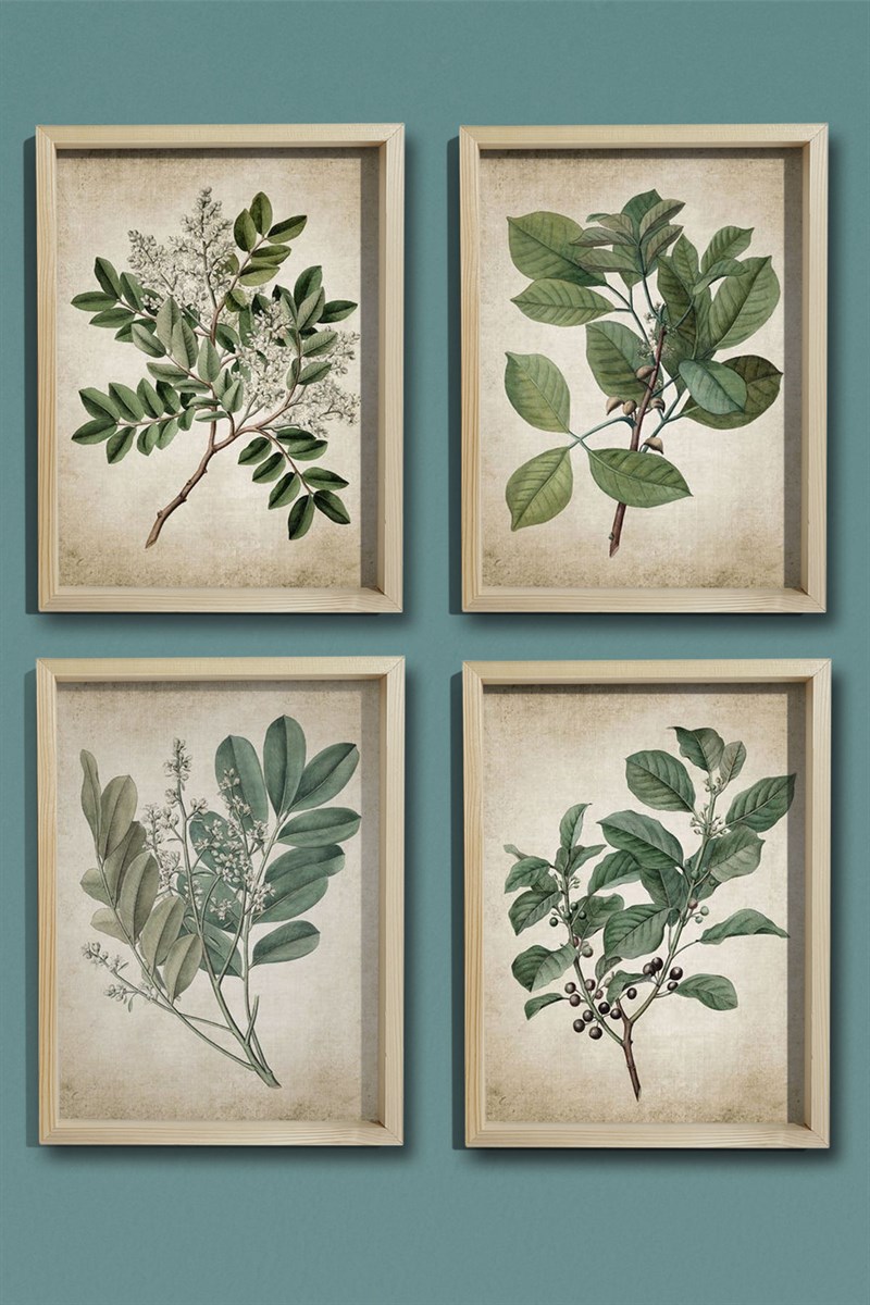 Doğal Çam Çerçeveli Duvar Tablosu Antik Yeşil Bitkiler 4'lü Set
