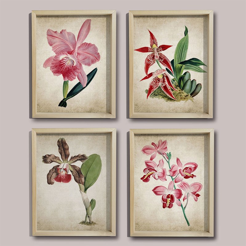 Doğal Çam Çerçeveli Duvar Tablosu Antik Orkide Duvar Sanatı 4 lü Set